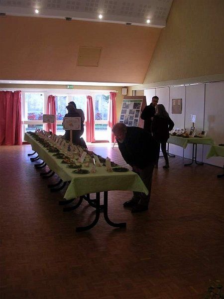 Expo champignons a St Leger 45